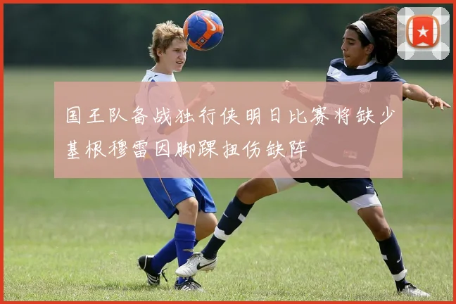 国王队备战独行侠明日比赛将缺少基根穆雷因脚踝扭伤缺阵