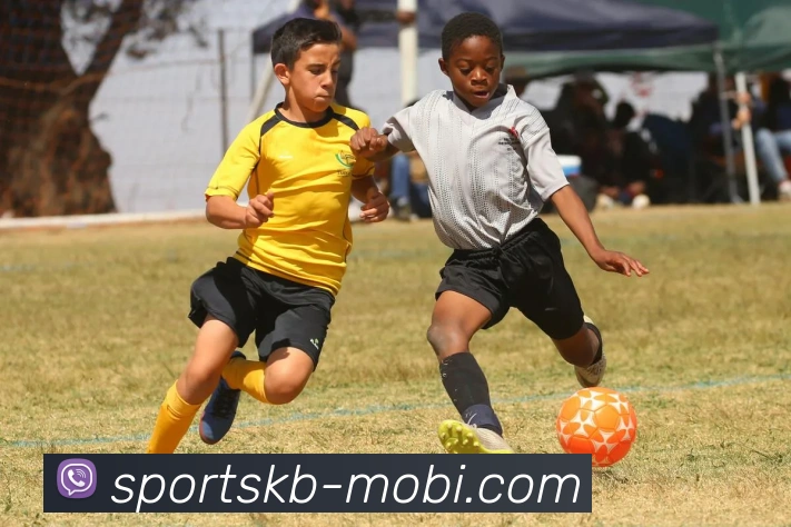 App Interface Preview